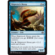 Shipwreck Moray Thumb Nail