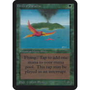 Birds of Paradise Thumb Nail