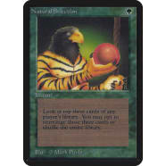 Natural Selection Thumb Nail