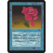 Mana Short Thumb Nail