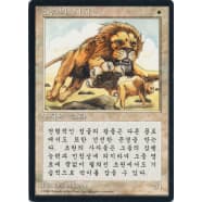 Savannah Lions (Korean) Thumb Nail