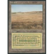 Savannah (Italian) Thumb Nail