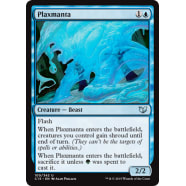 Plaxmanta Thumb Nail