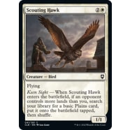 Scouting Hawk Thumb Nail