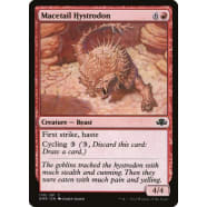 Macetail Hystrodon Thumb Nail