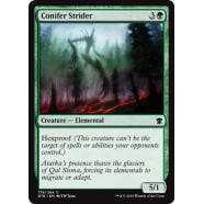 Conifer Strider Thumb Nail