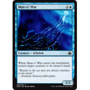 Man-o'-War Thumb Nail