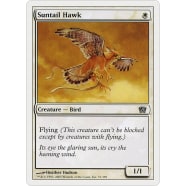 Suntail Hawk Thumb Nail