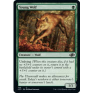 Young Wolf Thumb Nail