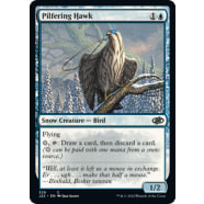 Pilfering Hawk Thumb Nail