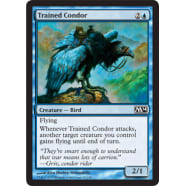 Trained Condor Thumb Nail