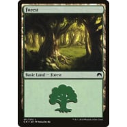 Forest C Thumb Nail