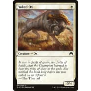 Yoked Ox Thumb Nail