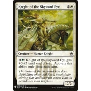 Knight of the Skyward Eye Thumb Nail