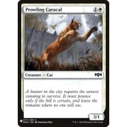 Prowling Caracal Thumb Nail