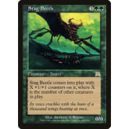 Stag Beetle Thumb Nail