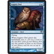 Augury Owl Thumb Nail