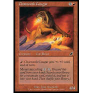 Chartooth Cougar Thumb Nail