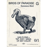 Birds of Paradise Thumb Nail