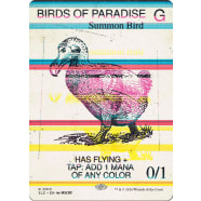 Birds of Paradise (Colored Lines) Thumb Nail