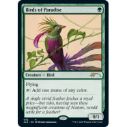 Birds of Paradise Thumb Nail