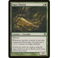 Algae Gharial Thumb Nail