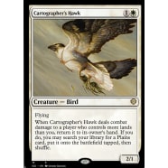 Cartographer's Hawk Thumb Nail