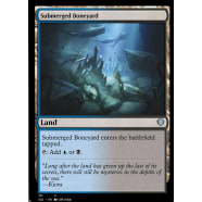 Submerged Boneyard Thumb Nail