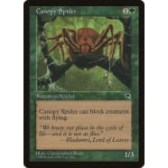 Canopy Spider Thumb Nail