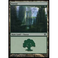 Forest D Thumb Nail