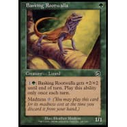 Basking Rootwalla Thumb Nail