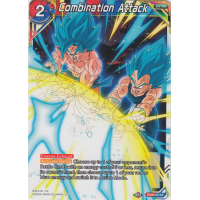 Combination Attack - Magnificent Collection - Broly Thumb Nail