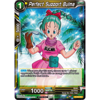 Perfect Support Bulma - Promo Thumb Nail