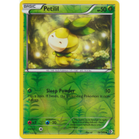 Petilil - 16/149 (Reverse Foil) - BW Boundaries Crossed Thumb Nail