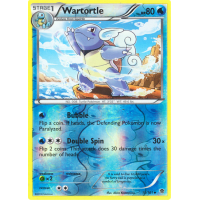 Wartortle - 15/101 (Reverse Foil) - BW Plasma Blast Thumb Nail