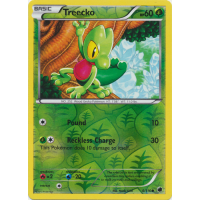 Treecko - 6/116 (Reverse Foil) - BW Plasma Freeze Thumb Nail