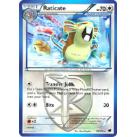 Raticate - 88/116 - BW Plasma Freeze Thumb Nail