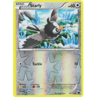 Starly - 95/116 (Reverse Foil) - BW Plasma Freeze Thumb Nail