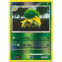 Grotle - 37/100 (Reverse Foil) - Diamond and Pearl Majestic Dawn Thumb Nail