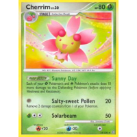 Cherrim - 14/100 - Diamond and Pearl Stormfront Thumb Nail