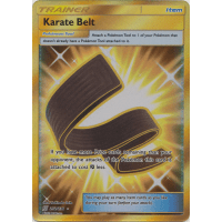 Karate Belt (Secret Rare) - 252/236 - SM Unified Minds Thumb Nail