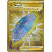 Big Parasol (Secret Rare) - 199/189 - SWSH Darkness Ablaze Thumb Nail