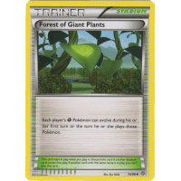 Forest of Giant Plants - 74/98 - XY Ancient Origins Thumb Nail