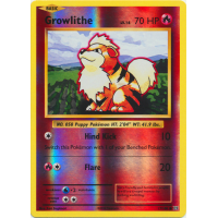 Growlithe - 17/108 (Reverse Foil) - XY Evolutions Thumb Nail