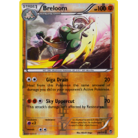 Breloom - 50/111 (Reverse Foil) - XY Furious Fists Thumb Nail