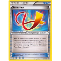 Focus Sash - 91/111 - XY Furious Fists Thumb Nail