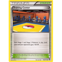 Training Center - 102/111 - XY Furious Fists Thumb Nail