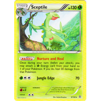 Sceptile - 8/160 - XY Primal Clash Thumb Nail