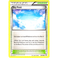 Sky Field - 89/108 - XY Roaring Skies Thumb Nail