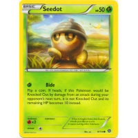 Seedot - 9/114 - XY Steam Siege Thumb Nail